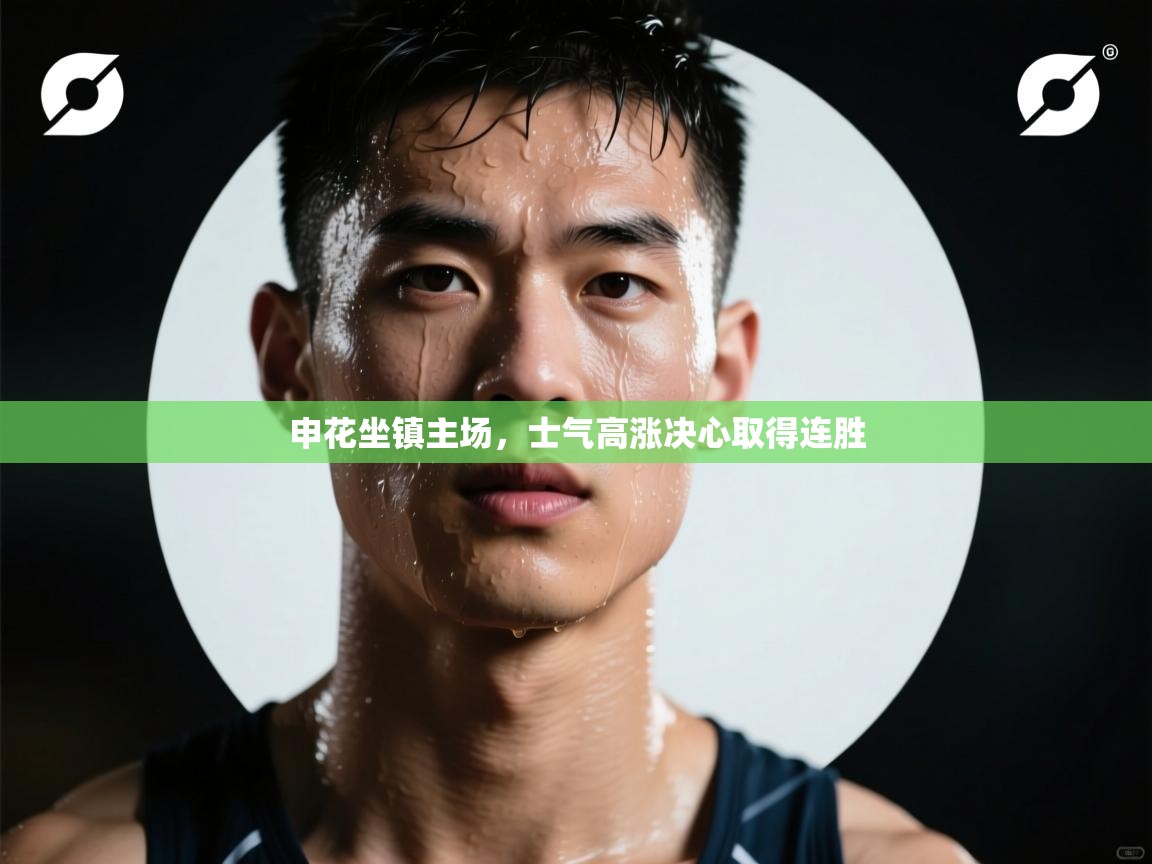 申花坐镇主场，士气高涨决心取得连胜  第2张